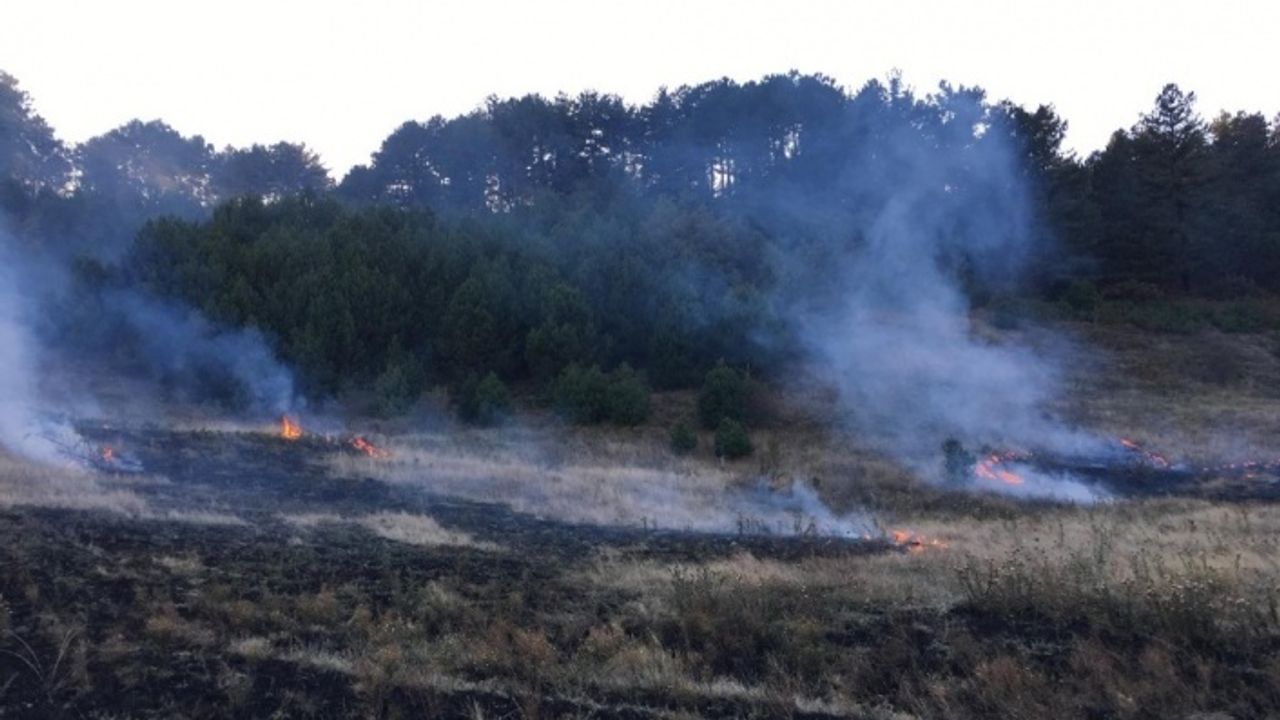 Şaphane’de orman yangını