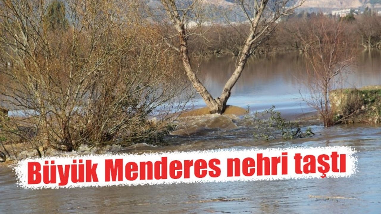Taşkın yaşanan Büyük Menderes nehrinde çalışma başlatıldı