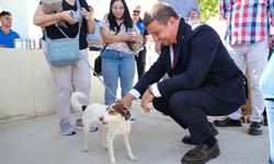 Patili dostlar, yeni yuvalarına kavuştu