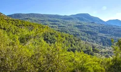 Kartal Dağı’nda Kötü Haber: Danıştay ÇED Olumlu Kararını Onadı