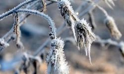 Meteoroloji’den don uyarısı