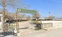 Hayvan pazarı, yeniden açıldı