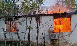 Kardeşleri ölüm bile ayırmadı