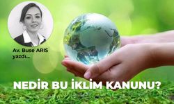 Nedir bu iklim kanunu?