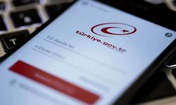 Elektrik kesintileri artık e-Devlet üzerinden ihbar edilebilecek