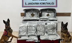 Jandarmadan uy*ştur*cu operasyonu