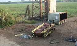 Çiftçinin korkulu rüyası oldular!