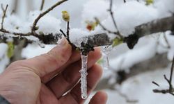 Tire için zirai don uyarısı