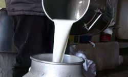 USK, çiğ süt tavsiye fiyatını üreticinin eline 22,22 lira geçecek şekilde belirledi