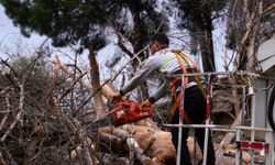 Tire Belediyesi ekipleri, fırtına mesaisinde