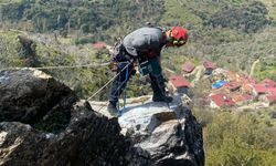 Tire’de 40 tonluk dev kaya, kontrollü şekilde indirildi