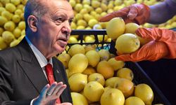 Erdoğan el attı! Limon ithalatında yeni karar