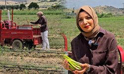 Tire’den Dünyaya Uzanan Başarı Hikayesi: Kadın Çiftçi Kuşkonmaz Üretimiyle Ezber Bozdu