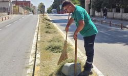 Tire'de Daha Yeşil Bir Çevre İçin Çalışmalar Sürüyor