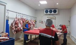 Et tesislerinde kapsamlı denetim