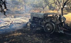 Tire’de çifte yangın: Zarar büyük