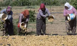 33 güne 110 bin lira alacaklar