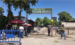 Tire Hayvan Pazarı, şap hastalığı sebebiyle yeniden kapatıldı