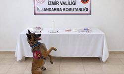 Jandarmadan zehir tacirlerine darbe