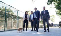 Kaymakam Yakuta ve Başkan Okuroğlu, hayvan bakım evini ziyaret etti