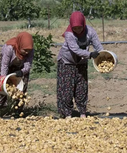 33 güne 110 bin lira alacaklar