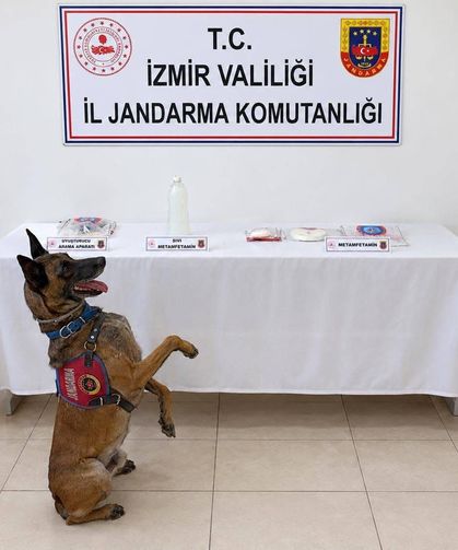 Jandarmadan zehir tacirlerine darbe