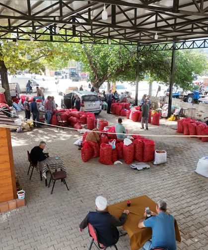 Işıklı Ceviz Pazarı, yeni ve modern yerine kavuştu