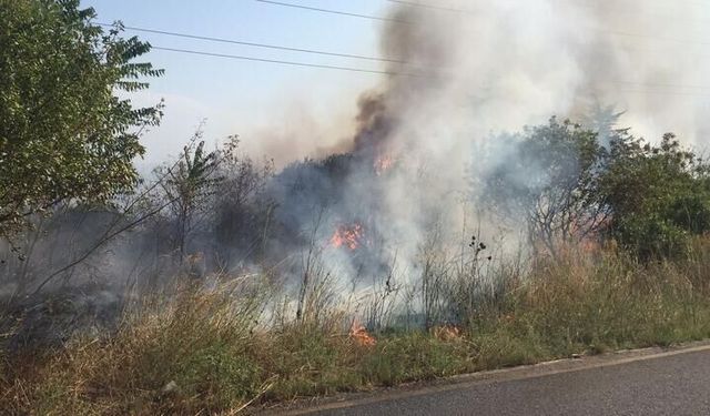 Gebze TÜBİTAK Yerleşkesinde Çıkan Orman Yangını