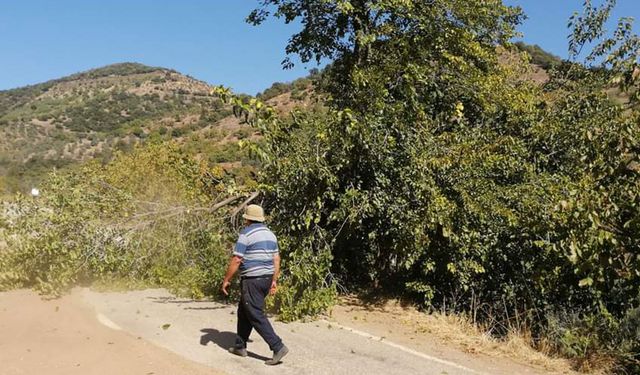 Çiftçi Malları Koruma Başkanlığı’ndan temizlik hamlesi