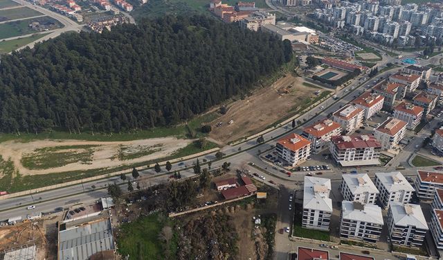 Tire, deve güreşlerine hazırlanıyor