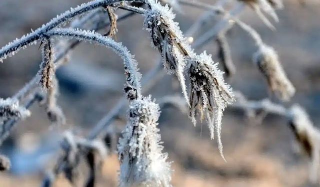 Meteoroloji’den zirai don uyarısı