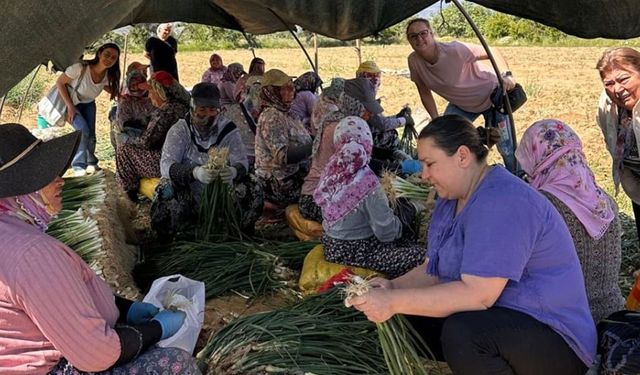 CHP’li kadınlar, kadın çiftçilerle buluştu