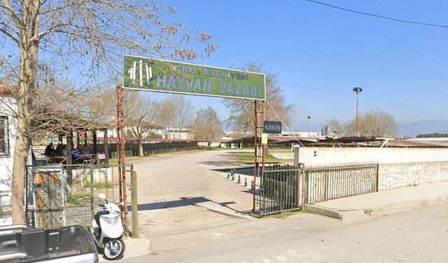 Hayvan pazarı, yeniden açıldı