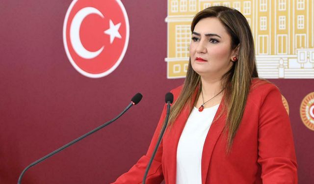 CHP'li Kılıç Tire'deki 'ölüm yolunu' meclis gündemine taşıdı: İşçiler ölüme değil, işe gitmek istiyor!