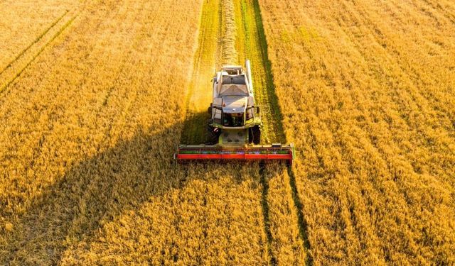 Mülk senin ama karar devletin: Boş tarla zorla kiraya verilecek