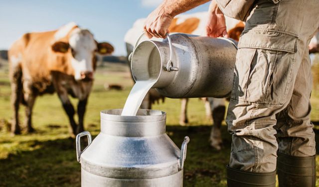 USK, çiğ süt tavsiye fiyatını açıkladı