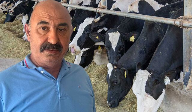 Halil Kalbak: iftiralarla ticaretime ve itibarıma saldırıyorlar