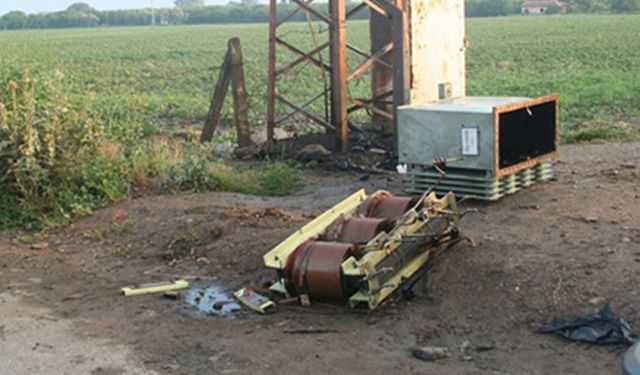 Çiftçinin korkulu rüyası oldular!