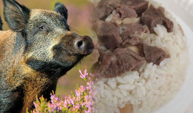 Babasının hayrına 500 kilo domuz eti yedirdi