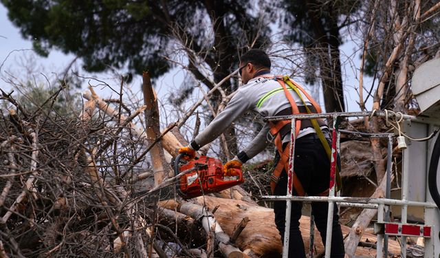 Tire Belediyesi ekipleri, fırtına mesaisinde