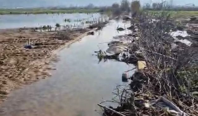Kızılcahavlu’da üretici mağdur: tarlalar sular altında