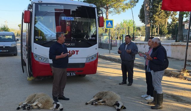 Köye giren ilk ESHOT aracı önünde kurban kestiler