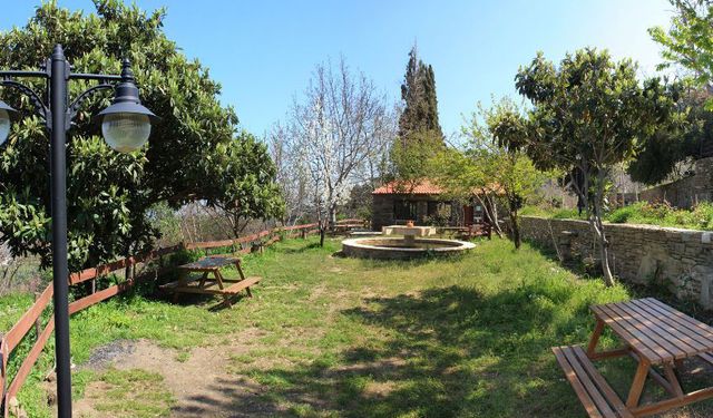 Arappınarı Mesire Alanı’nda mangal yasaklandı