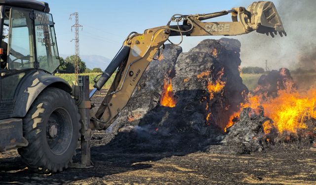 Elektrik akıma kapılan kuş yangına sebep oldu