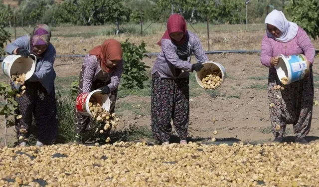 33 güne 110 bin lira alacaklar