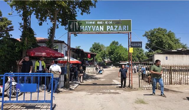 Tire Hayvan Pazarı, şap hastalığı sebebiyle yeniden kapatıldı