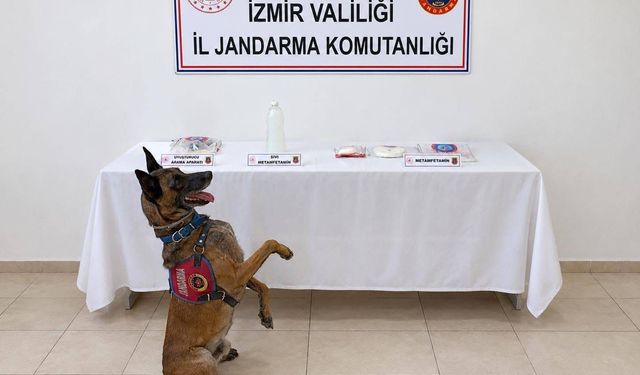 Jandarmadan zehir tacirlerine darbe