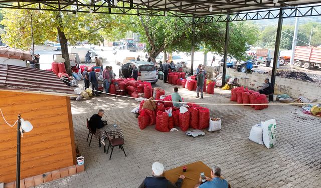 Işıklı Ceviz Pazarı, yeni ve modern yerine kavuştu