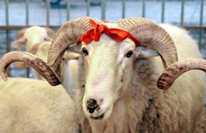 Vekaletle kurban kesim bedelleri belirlendi