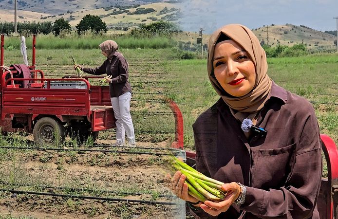 Tire’den Dünyaya Uzanan Başarı Hikayesi: Kadın Çiftçi Kuşkonmaz Üretimiyle Ezber Bozdu